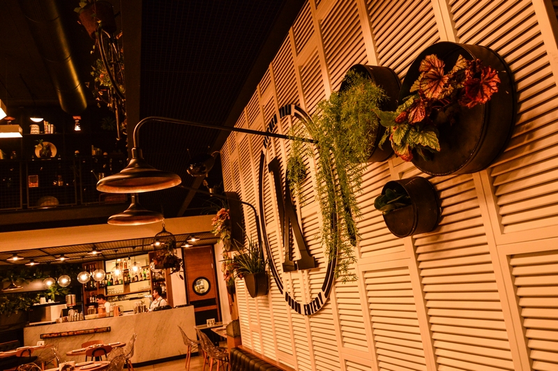 Kitchen Yard on Saturday Night